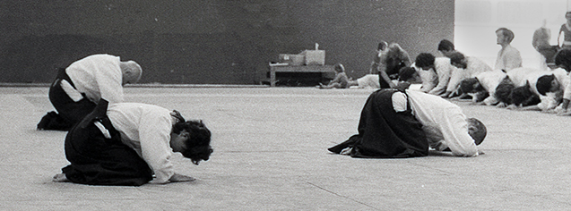 Budobi, Aïkido, Montolieu